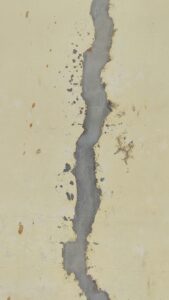 Detailed view of a cracked cement wall showing texture and color contrast.