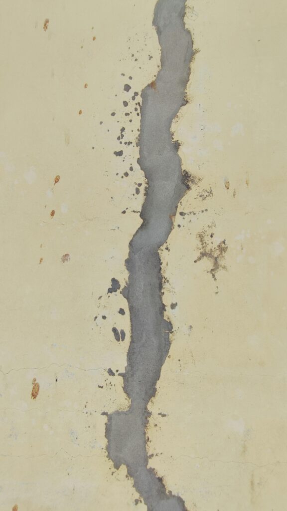 Detailed view of a cracked cement wall showing texture and color contrast.